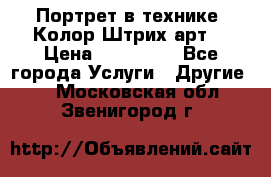 Портрет в технике “Колор-Штрих-арт“ › Цена ­ 250-350 - Все города Услуги » Другие   . Московская обл.,Звенигород г.